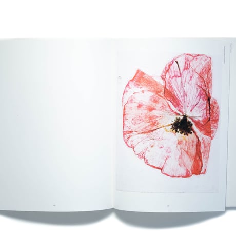Brigitte Lustenberger: An Apparition of Memory