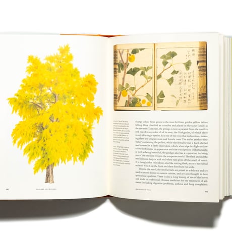 Remarkable Trees