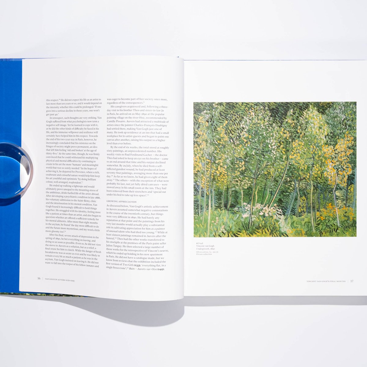 Van Gogh in Auvers-sur-Oise: His Final Months |