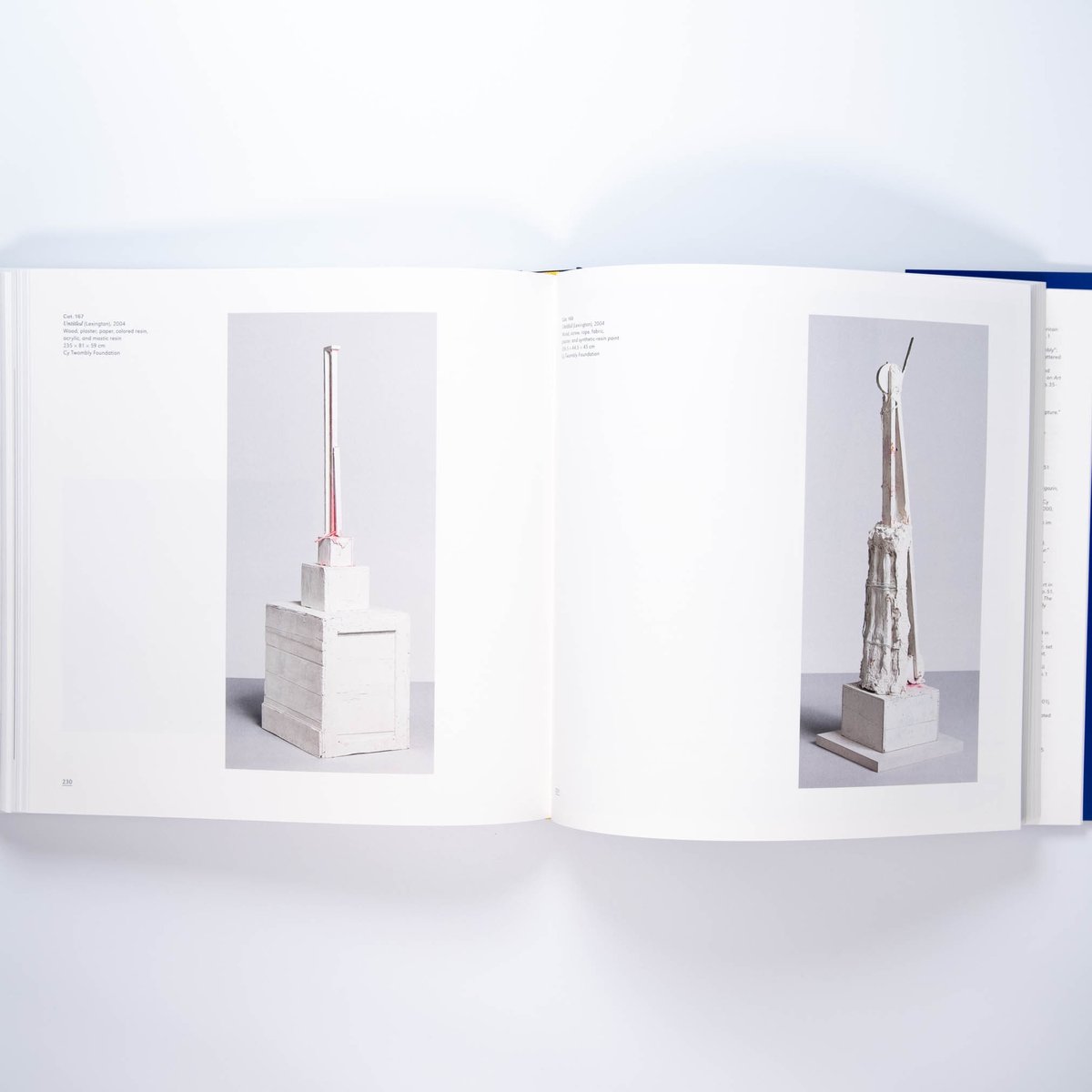 Cy Twombly 書籍 ハードカバー Cy Twombly | Art Book Iskusstvo