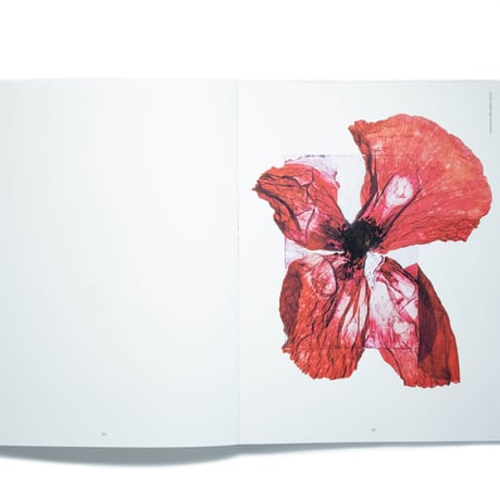 Brigitte Lustenberger: An Apparition of Memory