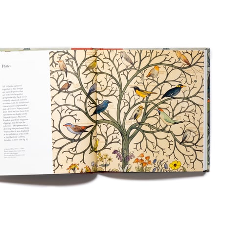 Voysey's Birds and Animals
