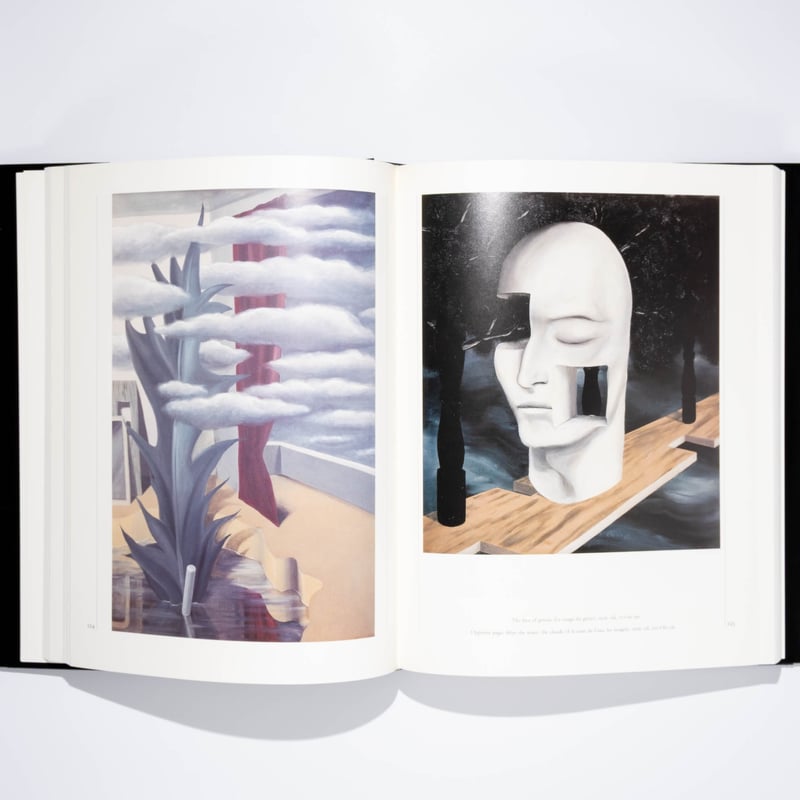 Magritte David Sylvester | Art Book Iskusstvo