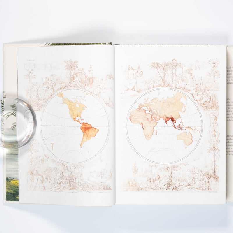 【入手困難！美品】THE BOOK OF PALMS Martius. The Book of Palms. 45th Ed. | Art Book