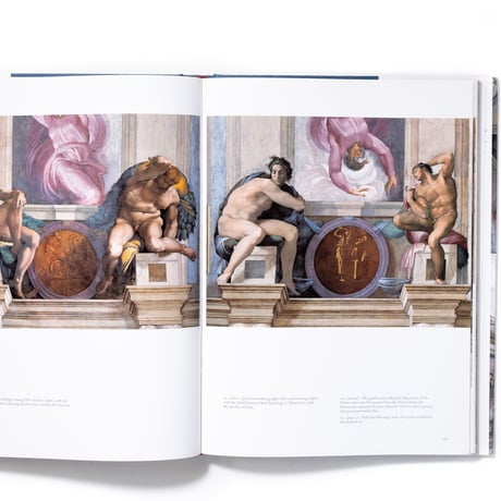The Sistine Chapel : A New Vision