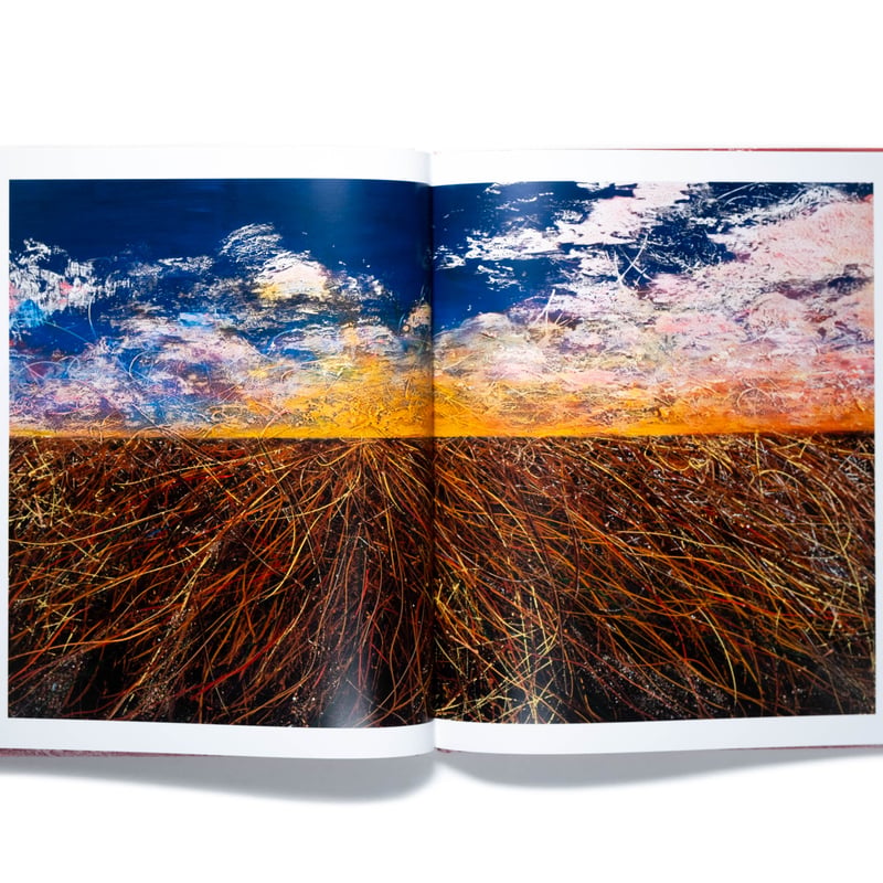 José Parlá: Ciclos: Blooms of Mold | Art Book I