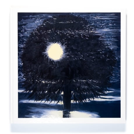 Ann Craven: Night