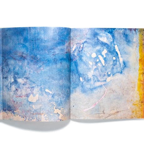Frank Bowling: Landscape