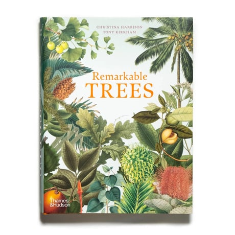 Remarkable Trees