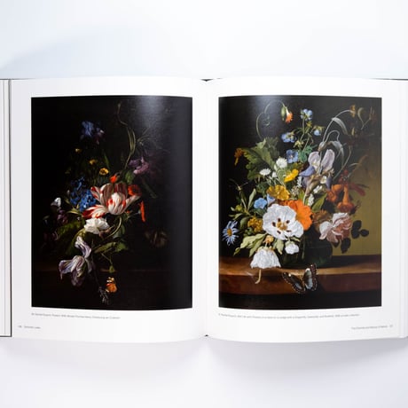 Rachel Ruysch: Nature into Art