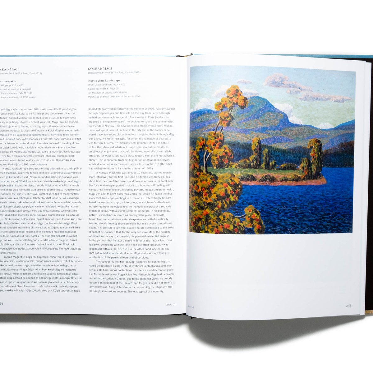 希少ルーミー 愛の詩 THE ILLUMINATEDスピリチュアル幻の書 ルーミー 愛の詩 / コールマン・バークス【英訳・解説