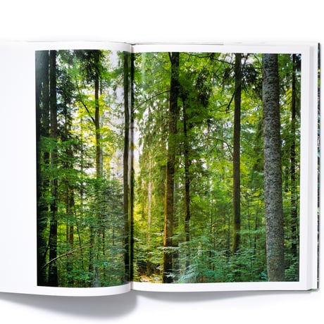 Thomas Struth: New Pictures from Paradise