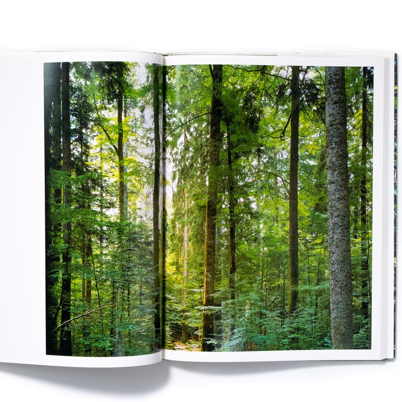 Thomas Struth: New Pictures from Paradise | Art Thomas Struth: New Pictures from Paradise | Art