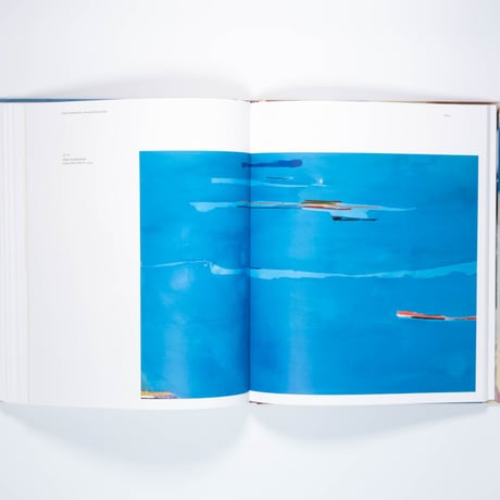 Helen Frankenthaler: Painting without Rules