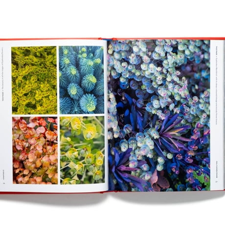 The Super Bloom Handbook