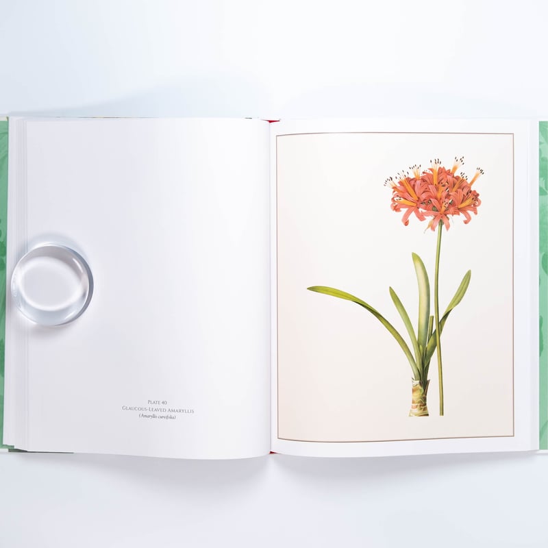 Redouté: Fabulous Flowers | Art Book Iskusstvo
