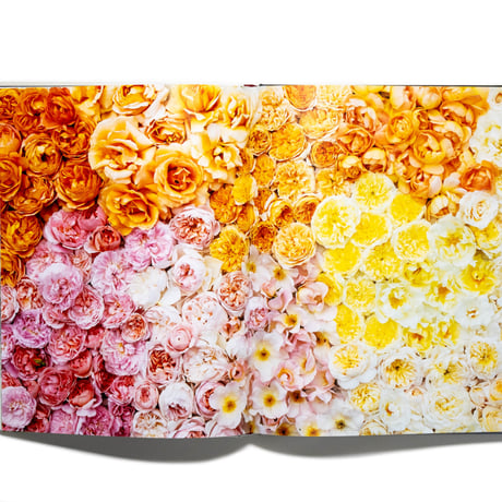 In Full Flower: Inspired Designs by Floral's New Creatives