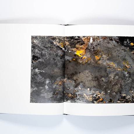 Anselm Kiefer: Für Andrea Emo