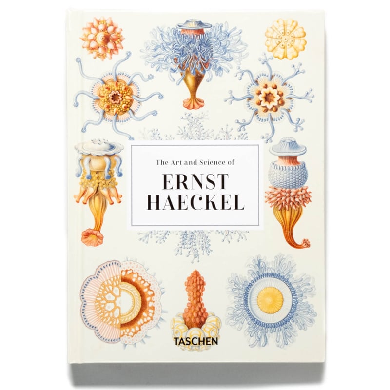 【新品】Ernst Haeckel / Taschen ヘッケル タッシェン 0bd2df3b88c37aa4fc9a6358f0b1ec