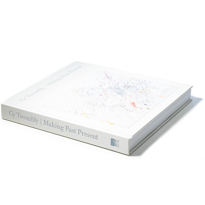 希少品 Cy Twombly 画集 Amazon.co.jp: CY TWOMBLY 画集 写真集 作品集 Sous le signe d