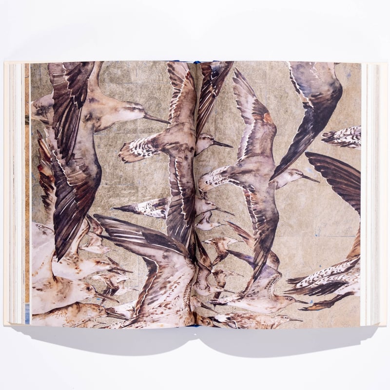 The Book of Birds : A Field Guide to Wonder and