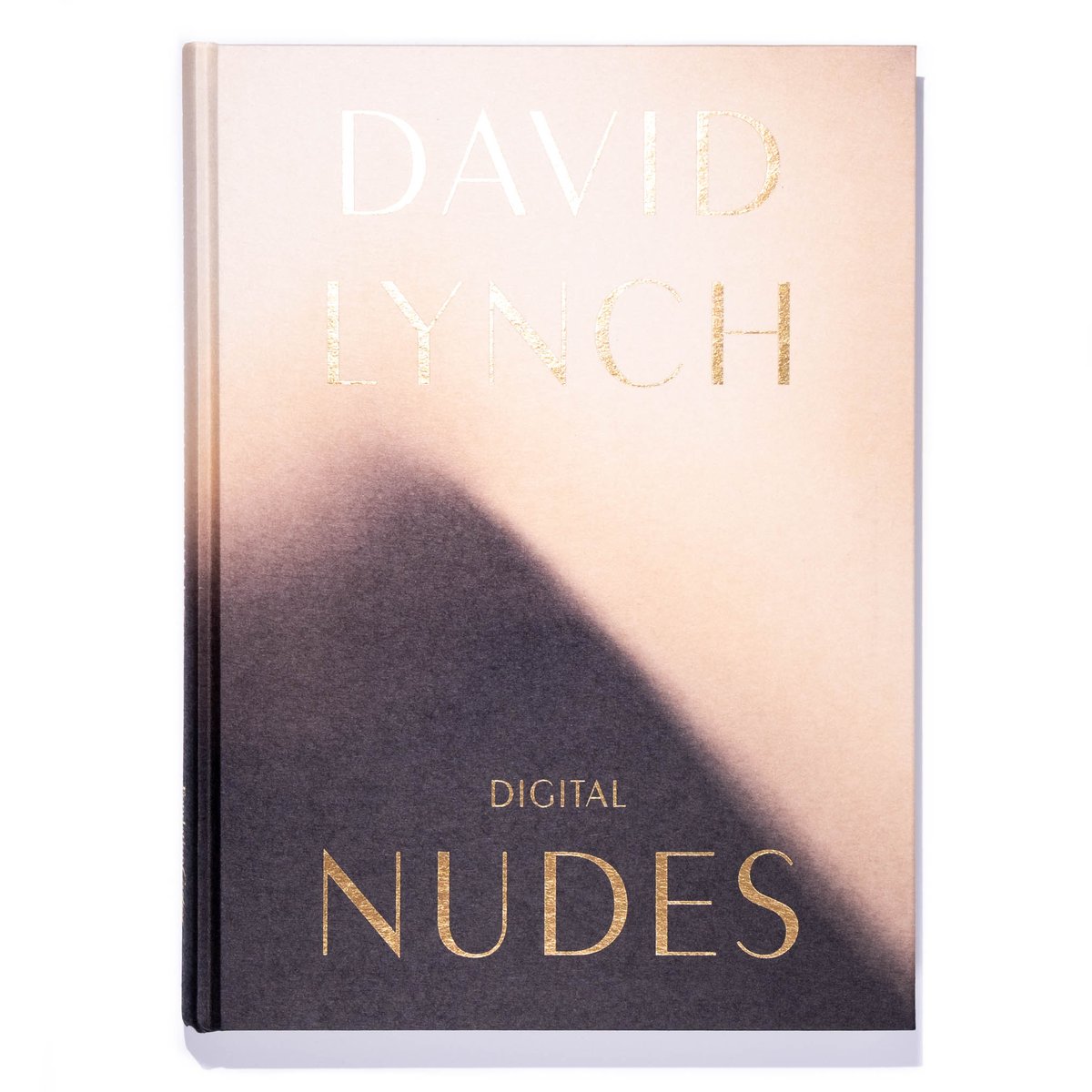 David Lynch　デイヴィッド・リンチ digital nudes David Lynch, Digital Nudes | Art Book Iskusstvo