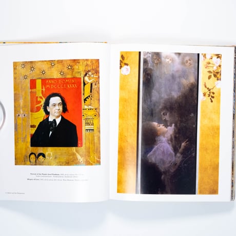 Klimt: The Bigger Picture
