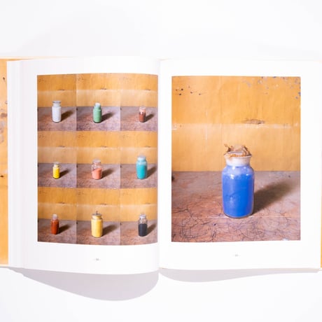 Joel Meyerowitz: Morandi's Objects