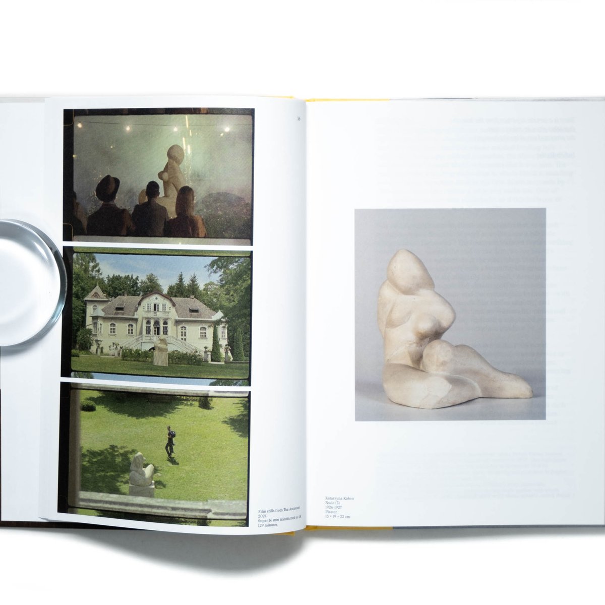 Wilhelm Sasnal - Painting as Prop | Art Book Is