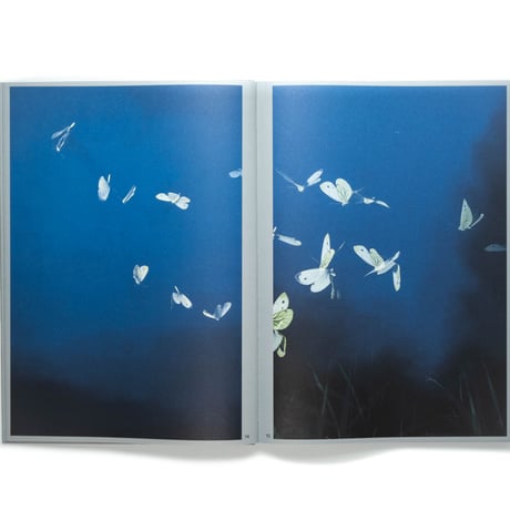 Rogier Maaskant – Sense of Presence