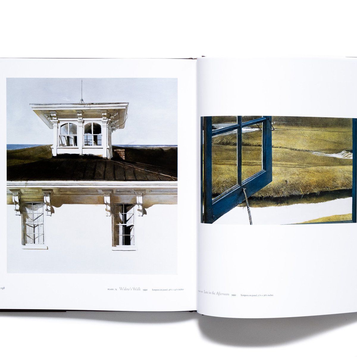 Andrew Wyeth: Memory and Magic | Art Book Iskus