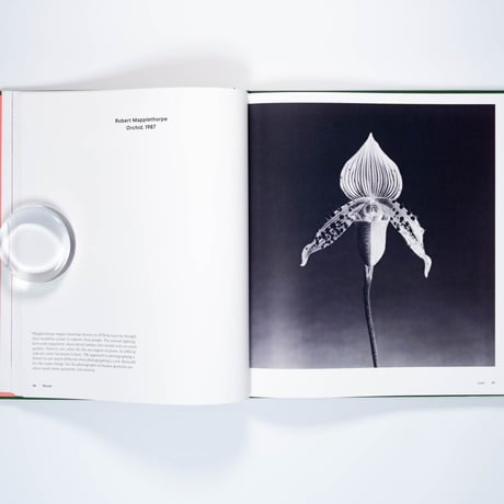 Bloom: Art, Flowers and Emotion