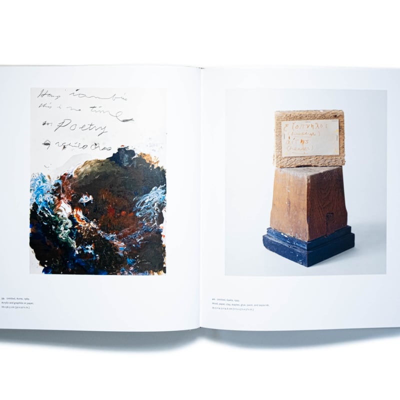 希少品 Cy Twombly 画集 Amazon.co.jp: CY TWOMBLY 画集 写真集 作品集 Sous le signe d