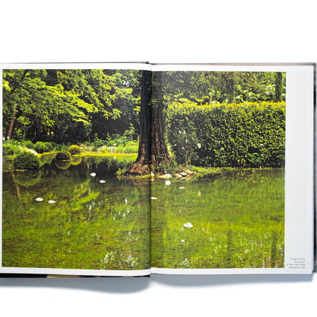 Cy Twombly Photographer, Friends and Others: Le Temps Retrouvé