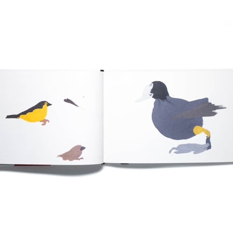 A Book of Birds by Humphrey Ocean