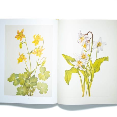 Wild Flowers of North America