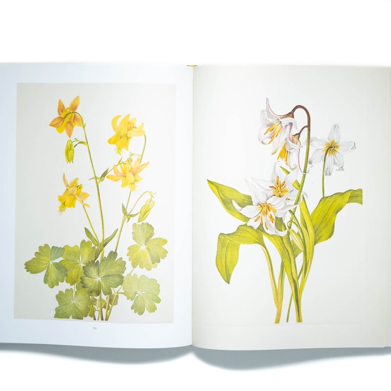Wild Flowers of North America | Art Book Iskusstvo