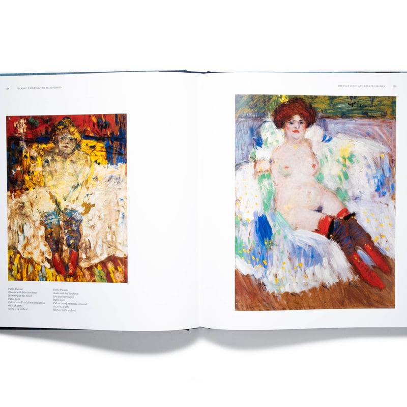 Picasso: Painting the Blue Period | Art Book Is