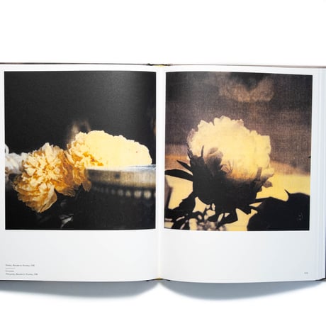 Cy Twombly Photographer, Friends and Others: Le Temps Retrouvé