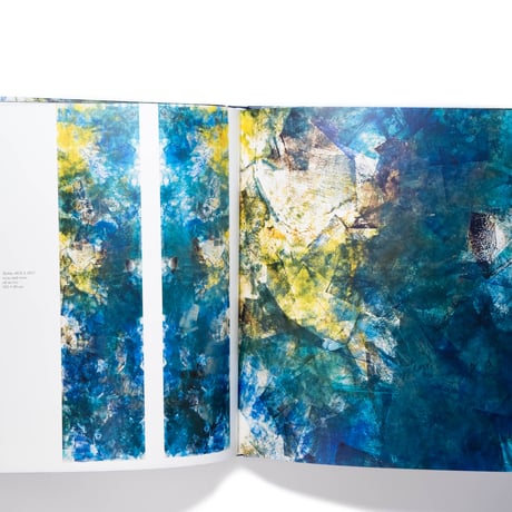 Beverly Barkat: Evocative Surfaces