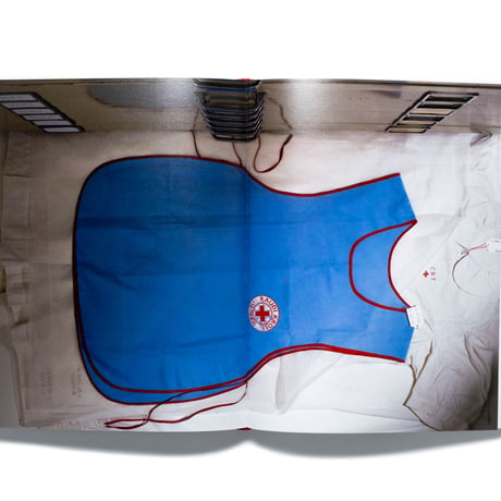 Henry Leutwyler: Humanity