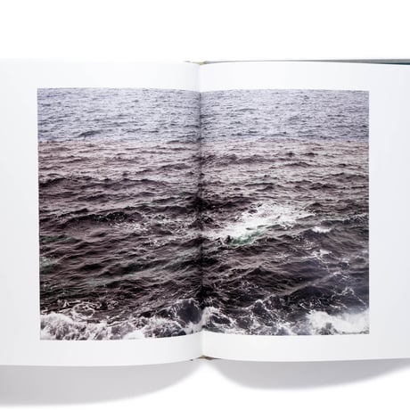 Barry Stone: Daily, In A Nimble Sea