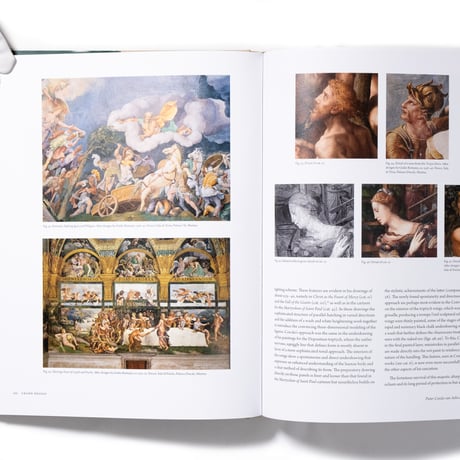 Grand Design: Coecke van Aelst and Renaissance Tapestry