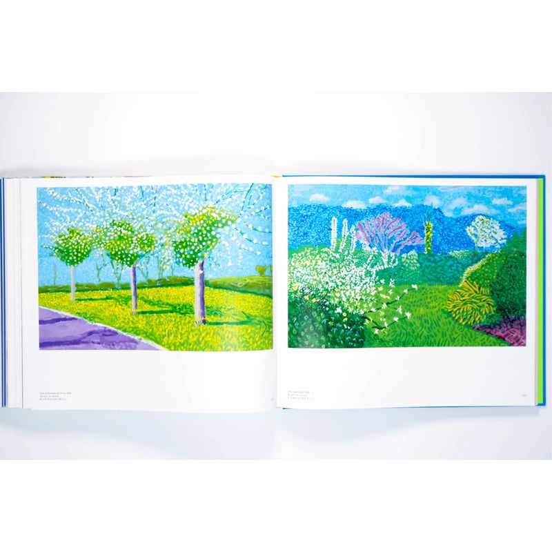 希少 デイヴィッド・ホックニー David Hockney アート本 David Hockney | Art Book Iskusstvo