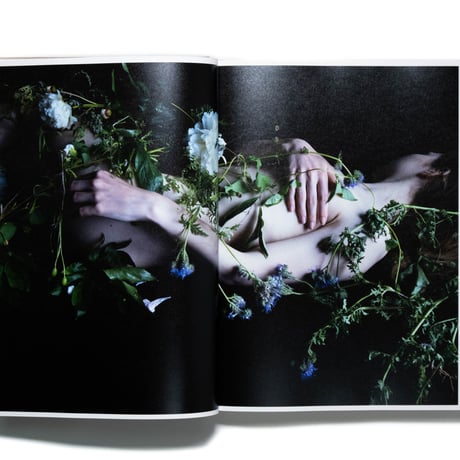 Carla van de Puttelaar: Adornments