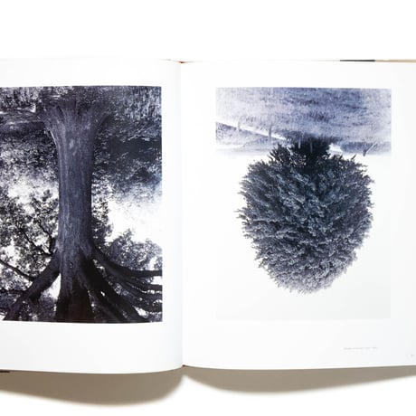 Rodney Graham : A Little Thought