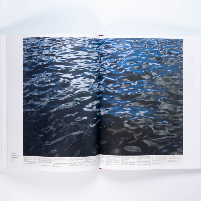 Roni Horn: Give Me Paradox or Give Me Death | A