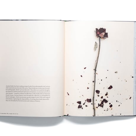 In the Beginning: Anselm Kiefer & Photography