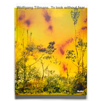 Wolfgang Tillmans: To look without fear