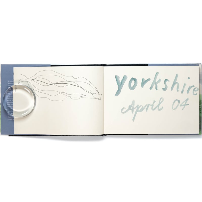 David Hockney: A Yorkshire Sketchbook | Art Boo